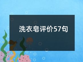 洗衣皂評價57句