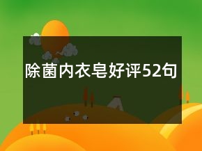 除菌內(nèi)衣皂好評(píng)52句