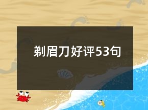 剃眉刀好評(píng)53句