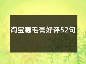 淘寶睫毛膏好評52句