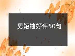 男短袖好評50句