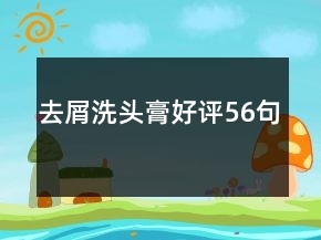 去屑洗頭膏好評56句