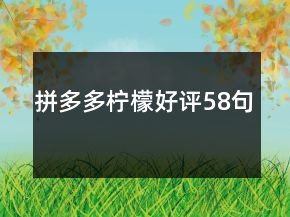 拼多多檸檬好評58句