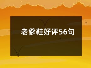 老爹鞋好評56句