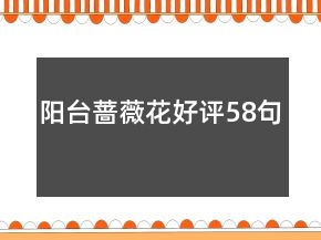 陽臺薔薇花好評58句