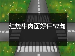 紅燒牛肉面好評57句