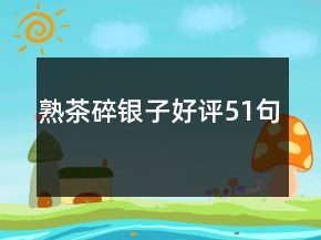 熟茶碎銀子好評51句