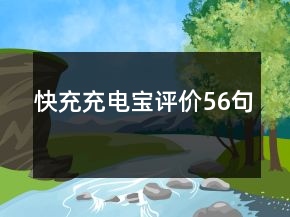 快充充電寶評(píng)價(jià)56句