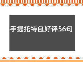 手提托特包好評(píng)56句