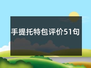 手提托特包評價51句