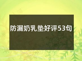 防漏奶乳墊好評(píng)53句