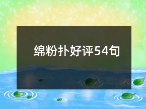 綿粉撲好評54句