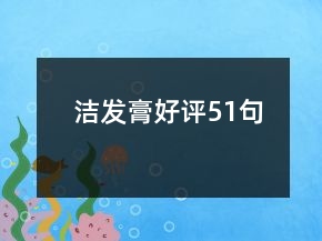 潔發(fā)膏好評51句