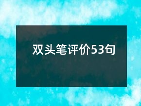 雙頭筆評價53句