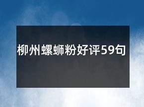 柳州螺螄粉好評59句