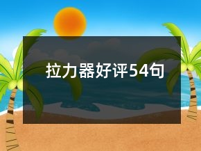 拉力器好評54句