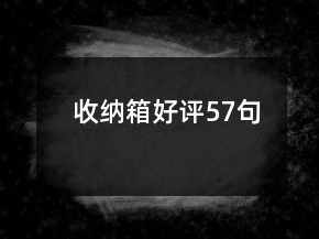 收納箱好評(píng)57句