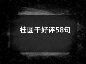 桂圓干好評(píng)58句
