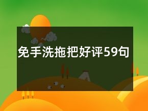 免手洗拖把好評(píng)59句