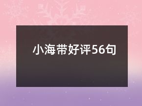 小海帶好評(píng)56句
