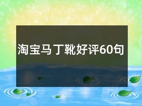 淘寶馬丁靴好評60句