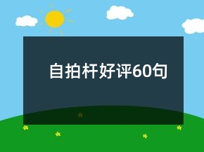 自拍桿好評(píng)60句