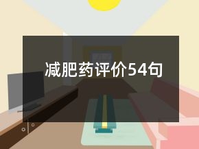 減肥藥評價(jià)54句