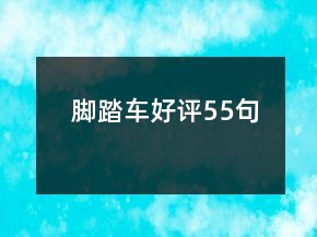 腳踏車好評(píng)55句