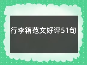 行李箱范文好評51句