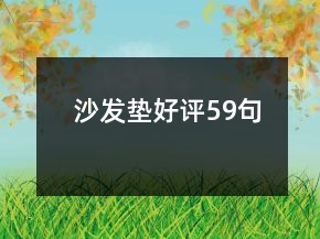 沙發(fā)墊好評(píng)59句