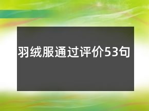 羽絨服通過評價53句