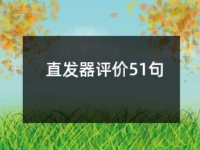 直發(fā)器評(píng)價(jià)51句
