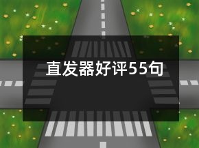 直發(fā)器好評(píng)55句