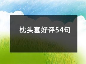 枕頭套好評54句
