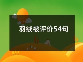 羽絨被評價(jià)54句