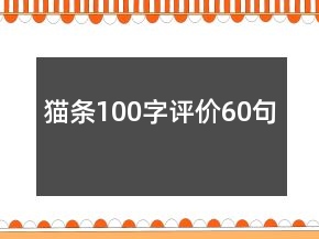 貓條100字評(píng)價(jià)60句