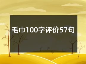 毛巾100字評(píng)價(jià)57句