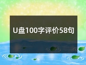 U盤100字評價58句