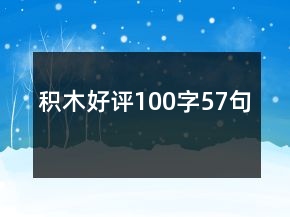 積木好評(píng)100字57句