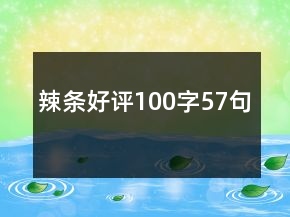 辣條好評100字57句