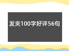 發(fā)夾100字好評56句