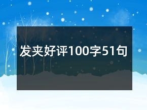 發(fā)夾好評100字51句
