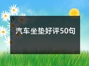 汽車坐墊好評50句