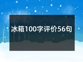 冰箱100字評價56句