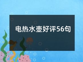 電熱水壺好評56句