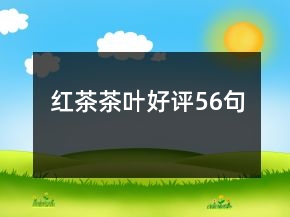 紅茶茶葉好評56句