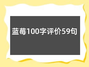 藍莓100字評價59句