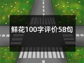 鮮花100字評價(jià)58句