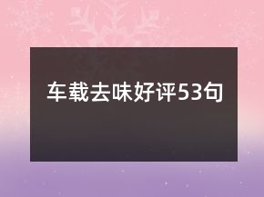 車載去味好評53句