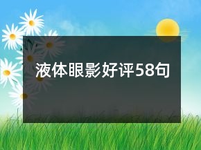 液體眼影好評(píng)58句